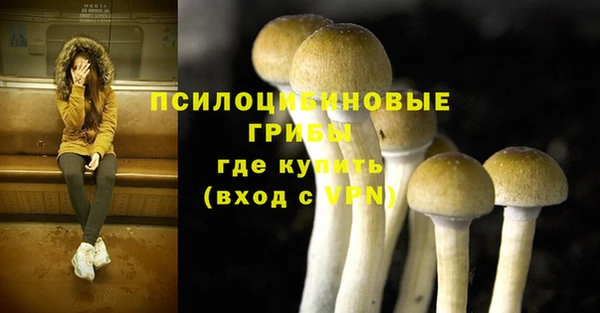 бошки Алзамай