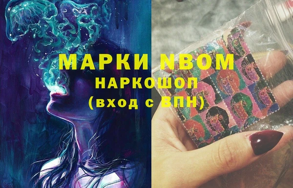 дурь Алексин
