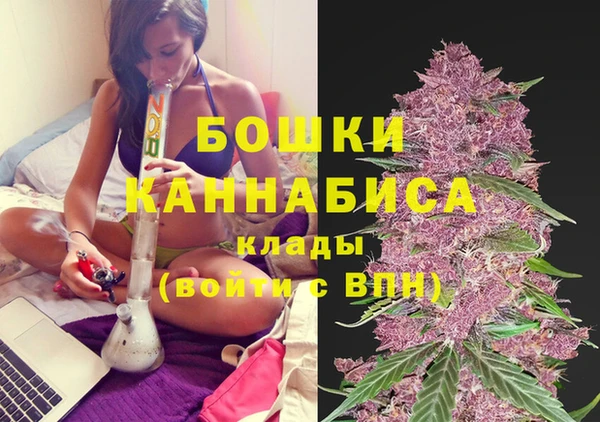 бошки Алзамай